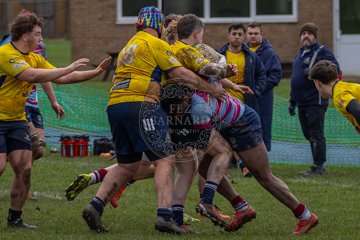 IMG_6017